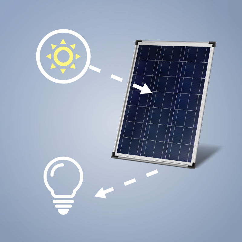 Leading the Way in Solar-EV Integration
